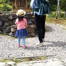 高原散策が気持ちよい！