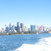 オペラハウス、ハーバーブリッジ、シドニータワー見えます