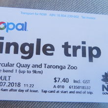 フェリーチケット