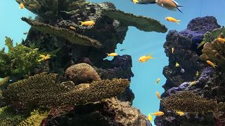葛西臨海公園の中にある水族館