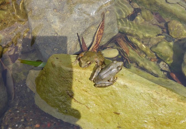中瀬遊歩道 クチコミ アクセス 営業時間 養老渓谷 フォートラベル 中瀬遊歩道 クチコミ アクセス 営業時間 養老渓谷 フォートラベル