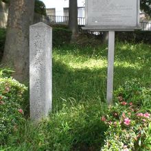 背景に東京薬科大が見え、土手には、居住跡の石碑と解説が見えま