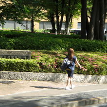 日本赤十字社発祥の地の標識と逓信病院の入口との位置関係です。