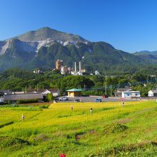 武甲山をバックに棚田を眺める
