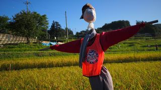 都心からのアクセスも良い秩父の棚田