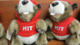 アメリカで　ハーバード大学生に混じって　生協でお買い物