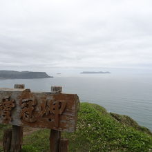 緑色の笹　白い花　景色にアクセント