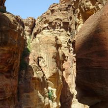 迫力のある渓谷散歩を楽しんでください。