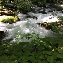 美しい水しぶき