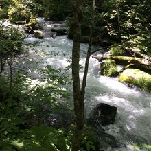 見ていても涼しい