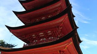 鮮やかな朱がキレイです