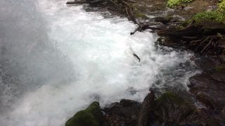 真夏なのに涼しい