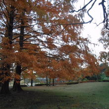 釜の淵公園の風景