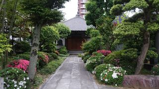 あくまで優雅な境内です