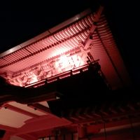 春日大社 国宝御本殿特別公開