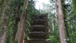 今年（２０１８年）の１１月まで特別拝観できるそうです