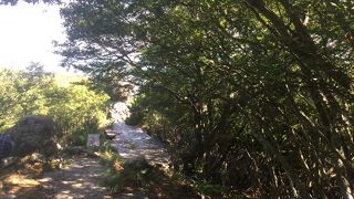 歩いておりたら足が動かなくなった