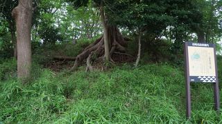 これはれっきとした前方後円墳