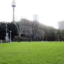 シドニータワーも見えます