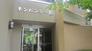 円山動物園内の人気施設の一つです