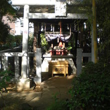 市谷の出世稲荷神社の御社です。木陰にあります。小さい御社です