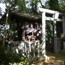 市谷の出世稲荷神社を亀ヶ岡八幡宮方向の斜めから見ています。