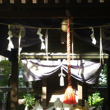 市谷の出世稲荷神社の御社を近くで見ています。紫の幕が見えます