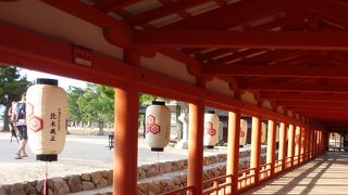 艶やかだけじゃない