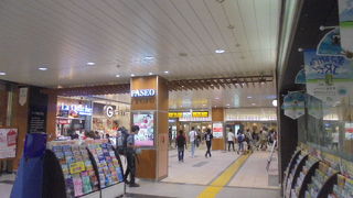 宇都宮駅ビルです。