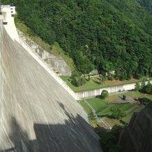 堤体の真下に園地が広がっています