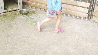 雰囲気のよい小さな牧場