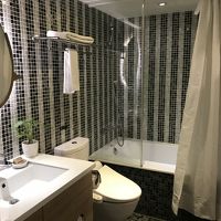 ミシュランに入れないカーテンです。