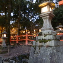 春日大社の表参道を進みました。