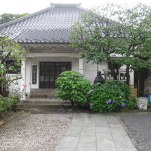 本行寺境内と本堂