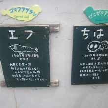 どちらも男の子。