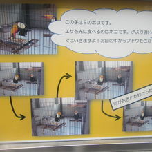 ”すごいトコ”の解説の一部