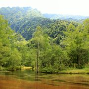 霞沢岳や六百山を源とする伏流水が湧き出た池です。