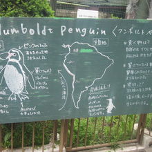 手書き解説の様子。スタッフの方の愛情が感じられますね！