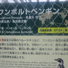 勿論、普通の解説板も設置されています