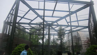 メインはタンチョウとペンギンです