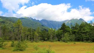 今回は湿原越しに穂高連峰を綺麗に見ることが出来ました