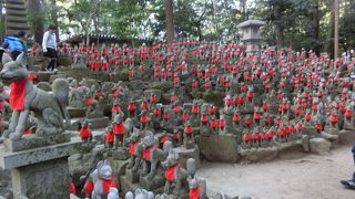 狐・きつね・キツネ！