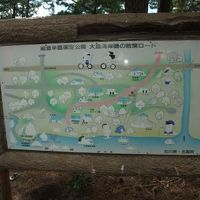 大島キャンプ場 写真