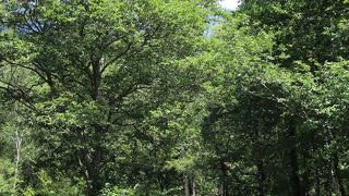 梓川左岸の休憩ポイント