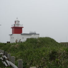 遊歩道から灯台が見えます