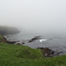 遊歩道から見える海岸