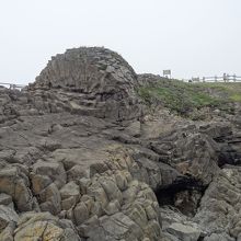 これが「根室車石」