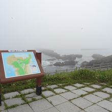 展望台　霧にかすんでいます