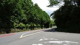 日本平に上がる専用道路