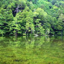 明神岳からの伏流水をたたえる小さな池 By 温泉大好き 明神池 長野県松本市 のクチコミ フォートラベル
